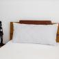 Preview: Evolon Kissen ProtectSLEEP
